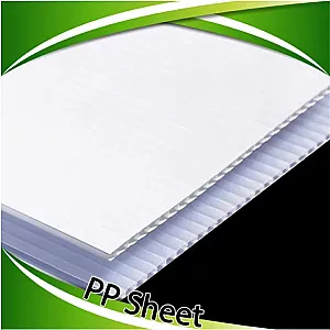 PP Sheet