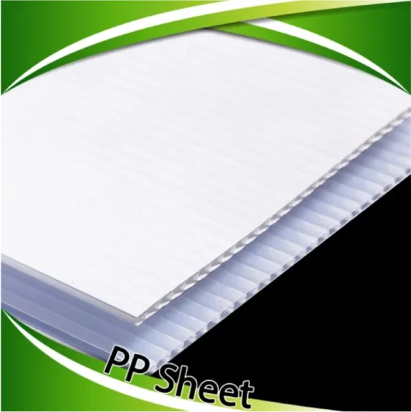 PP Sheet - Image 2